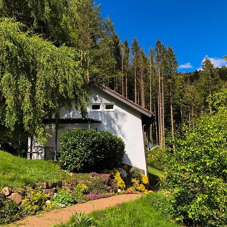 Surrbach Chalet Baiersbronn Zewnętrze zdjęcie