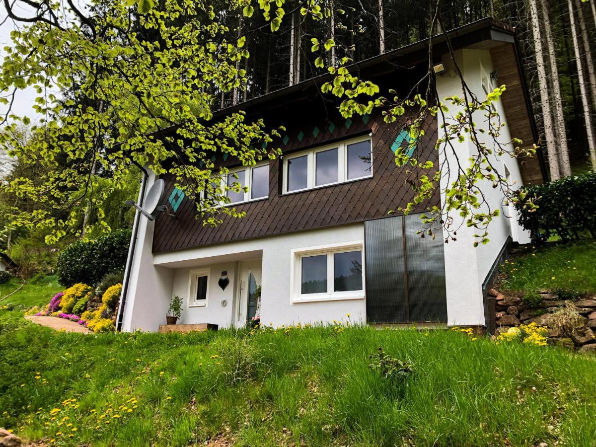 Surrbach Chalet Baiersbronn Zewnętrze zdjęcie